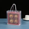 10pcs Frosted Plastic Gift Bags with Rope Handles Gift Bags Shopping Bag for Small Business Gifts Wedding Party Favors Birthdays Treat Wrap Bags