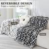 Sofa Cover Blanket for All Seasons All-inclusive Sofa Towel Chenille Cover Living Room Sofa Cover Anti-cat Scratch Sofa Cover