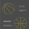 Peak Standard Training PU Basketball