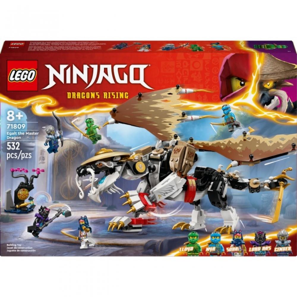 

LEGO Master Dragon Eggart 71809
