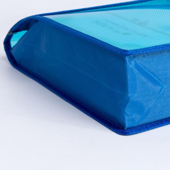 Plastic File Folder Waterproof Transparent Expanding Document Organizer with Snap Closure No Dividers Portable A4/B5 Size File Pouch for Office