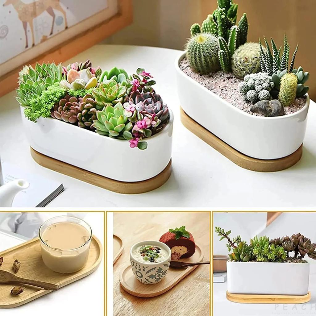 1Pc Japanese Tableware Wooden Plate Beech Oval Tray Mini Solid Wood Small Plate Children's Whole Wooden Plate Wooden Plate 18cm