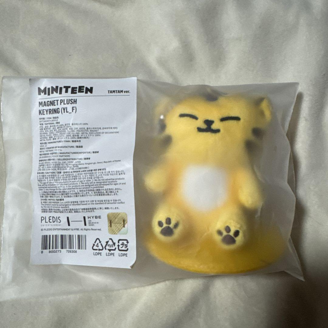 

[USED] SEVENTEEN MINITEEN Magnet Key Ring Star