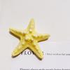 10Pcs Premium Resin Starfish Flatback Cabochons Realistic Sea Star Charms for DIY Candle Decor Coastal Style Jewelry Making Accessories