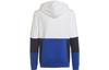 adidas Kids Sweatshirts Moderate HG6826