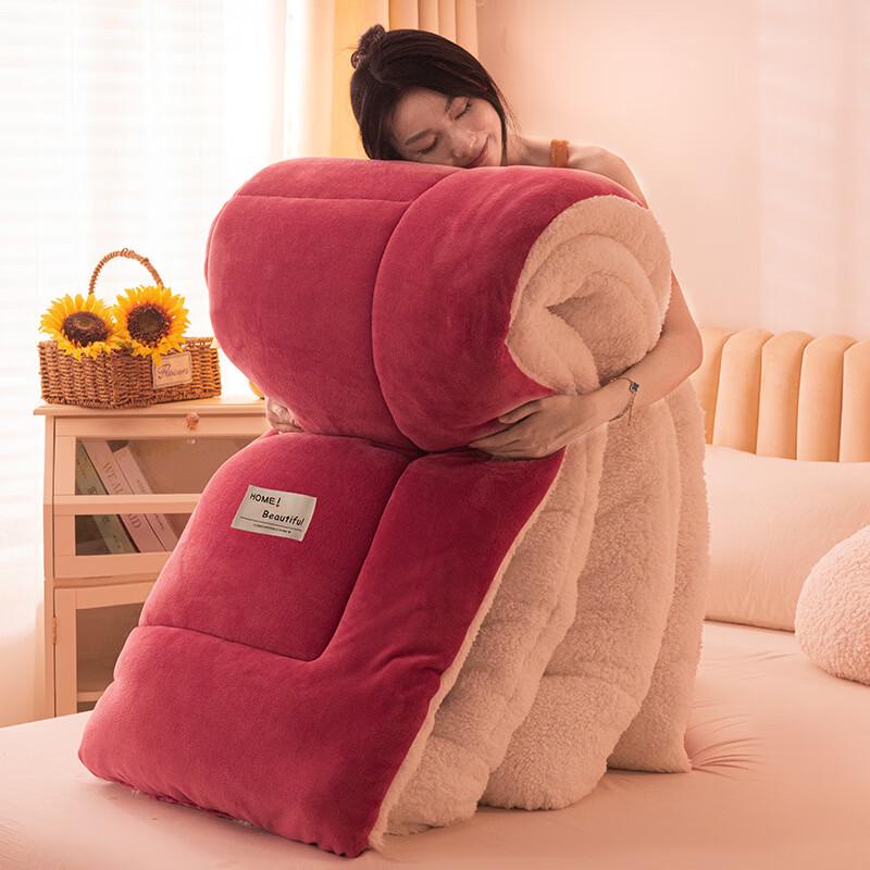 

Xihe Lamb Fleece Winter Quilt