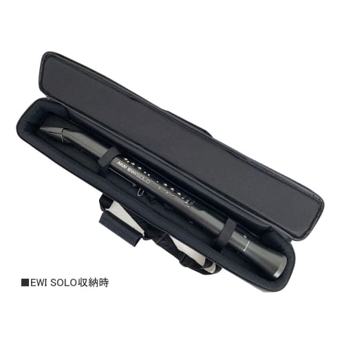 Ishibashi Musical Instruments Original EWI Soft Case for AKAI Professional EWI5000, EWI4000SW, EWI SOLO, and Other Models