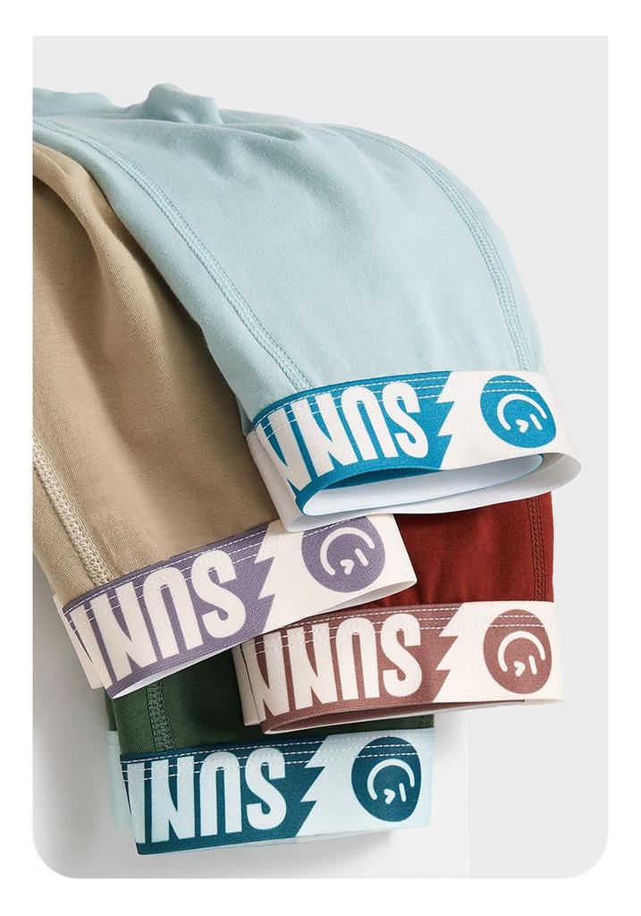 Men's Plus Size Pure Cotton Antibacterial Boxer Briefs - 100% Cotton Crotch