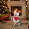 Cat Christmas Costume Santa Hat with Scarf &Small Dogs - Funny Santa Hat and Scarf Outfit for Holiday Photos, Dress Up&Parties Adjustable Cat