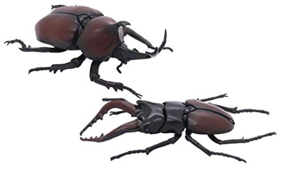 Fujimi Model Free Research Series 25 Living Creatures Stag Beetle Rhinoceros Beetle Battle Plastic Model Free Research 25 No. Edition Vs. Set,