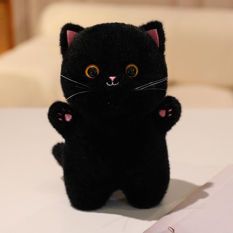 1Pc 20CM Kawaii Cat Plush Doll Toy Cartoon Ragdoll Cat Lucky Cat Siamese Cat with Accessories Stuffed Soft Animal Doll Gifts