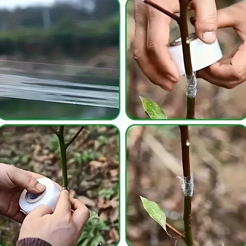 Nastro Adesivo Forte per Innesto Alberi da Frutto, Rotolo da 705,38 piedi - Pellicola Estensibile e Autoadesiva per Protezione e Avvolgimento Piante