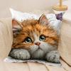 Cute Cat and Flower Cushion Cover Short Plush Doublesided Print Square Throw Pillow Covers Sofa Home Cushion Decor