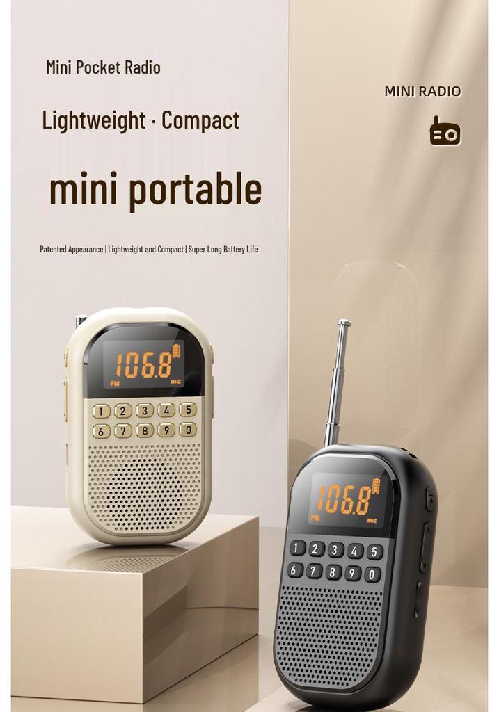 Mini Bluetooth Rechargeable FM/AM Radio with Card Slot