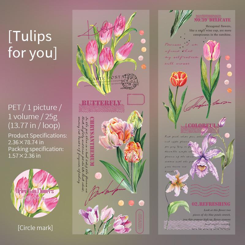 

2m/roll Junk Journal Collage Material Stickers Creative Text Plants Flowers PET Masking Tape Scrapbook DIY Supplies Stickers