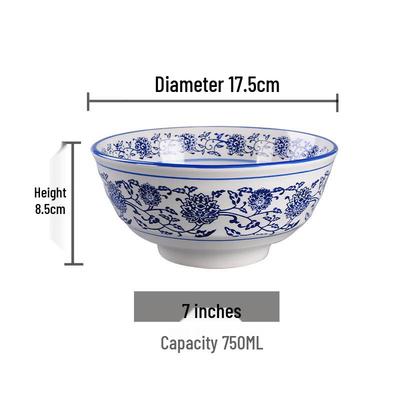 Blue and White Porcelain Noodle Bowl Set