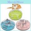 Pet Toy Maze Dispenser With Abs For Engaging Cat Play And Preventing Overeating