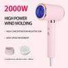 2000W 5th Gear Professional Hair Dryer Negative Lonic Blow Dryer Hot Cold Wind Air Brush Hairdryer Strong PowerDryer Salon Tool