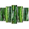 Five Piece Picture Canvas Print Bamboo Forest Natura Green