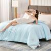 Thick and Warm Silk Quilt  Pure Color Soft and Comfortable Quilt Large Air-conditioning Quilt