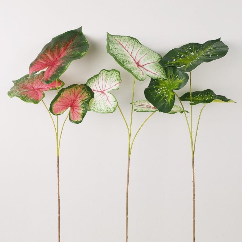 Green Plants Artificial Calla Leaves Plastic Artificial Arrowroot Leaf Banana Leaf  Room Decor