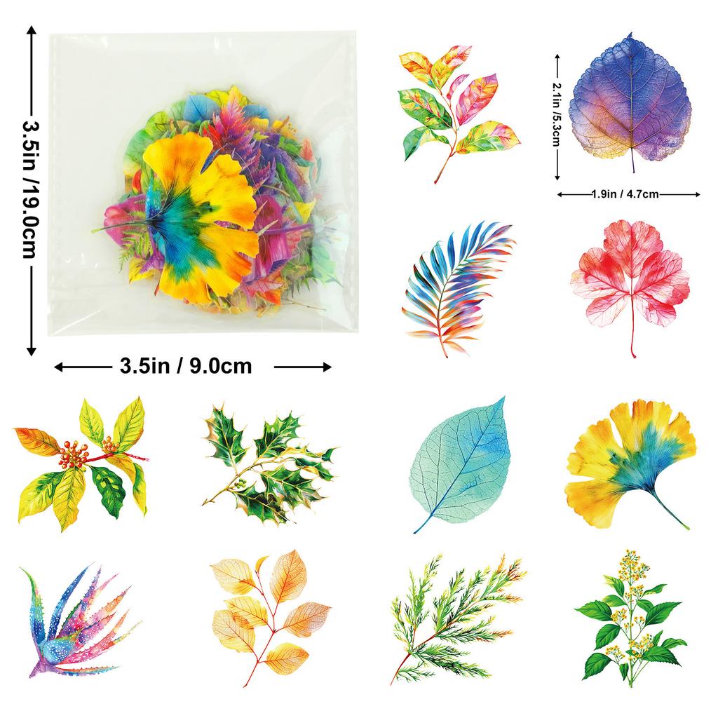 50 PET Stickers Creative Mushroom Leaves Hand Account Transparent Plant Hand Account Sticker Package Material Decoration
