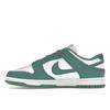 Nike  Dunk Low Next Nature Bicoastal Women Sneakers Teal White DD1873-107