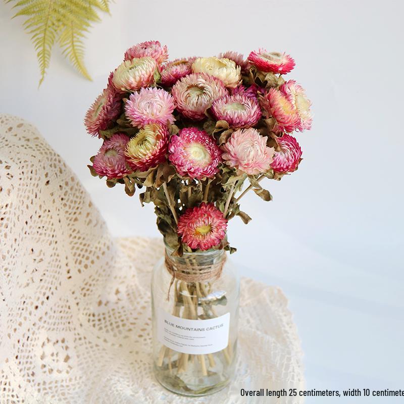 Daisy Dried Flower Bouquet for Living Room and Bedroom Décor - Natural Yunnan Flowers for Display or Photo Props