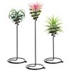 Iplusmile Air Plant Air Air Plant Plant Mini Spiral Plant Plant Set of 3 Holder, Plant, Stand, Stand, Houseplant, Pot, Stand, Holder, Metal,