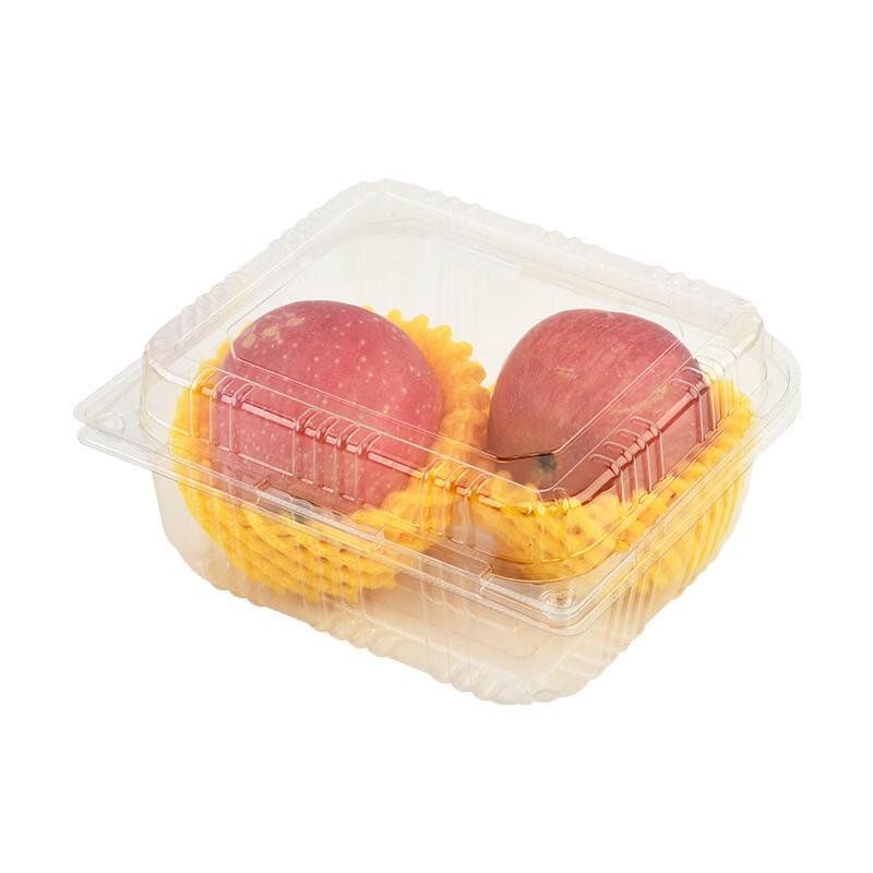 

Disposable Transparent Plastic Takeout Containers with Lids