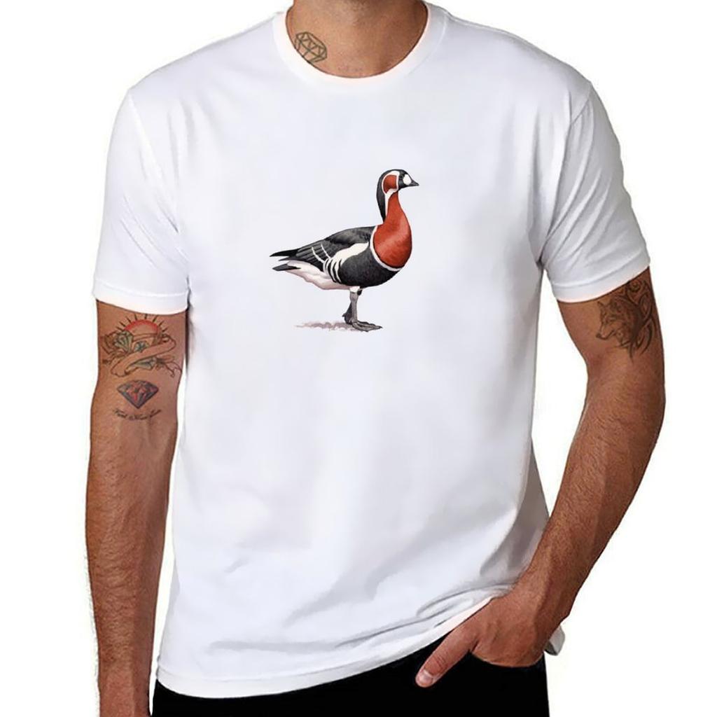 Redbreasted Goose TShirt Creative Graphic Tee Shirt
