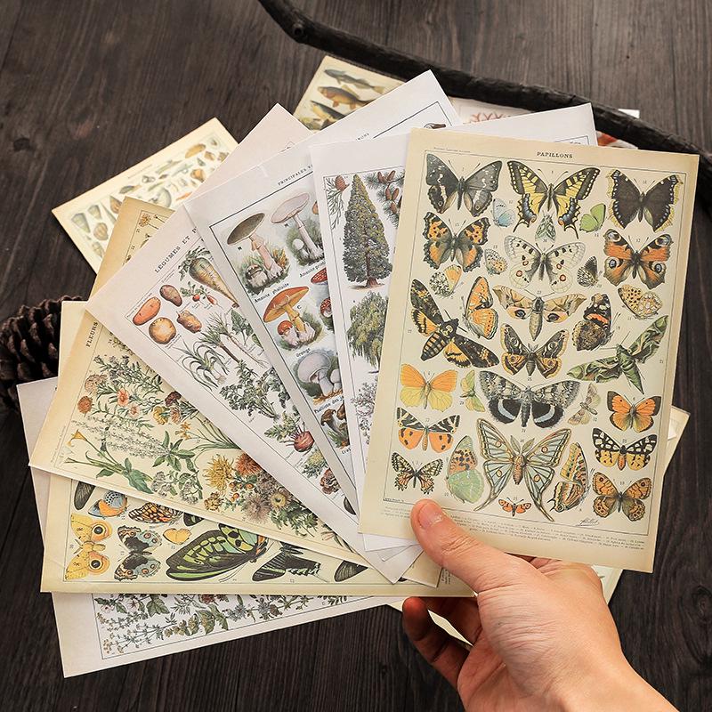 Retro Natural History Illustrated Journal & DIY Album: 15 Double-Sided Sheets for Decoration