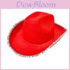 Halloween Cowboy Hat With Silver Edge For Costume Party And Cosplay