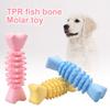 Pet Puppy Dog Bite Resistant Fishbone Shape Teeth Cleaner Training Chew Toy