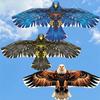 Multi-color Classic Bald Eagle Kite for Bird Deterrence