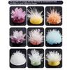 Display Cases Crystal Growing Kit Vibrant Colored Crystals Easy-to-Follow Manual DIY Educational Science Toys Grow a Crystal