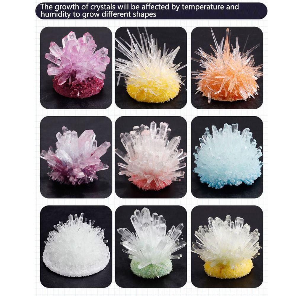 Display Cases Crystal Growing Kit Vibrant Colored Crystals Easy-to-Follow Manual DIY Educational Science Toys Grow a Crystal