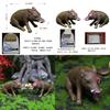 Halloween Resin Miniature Garden Decor With Pirate Boar Figurine For Party Gifts