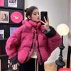 Yeni model, her iki tarafta da gündelik zıt renkli şişme montlar, kadın ceketleri, modaya uygun doku ve kapüşonlu bol ekmek kıyafetleri giyiyor.