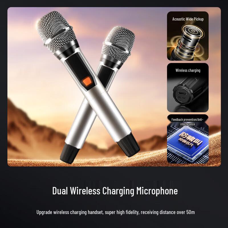 SAST WD-15 15-inch Portable Bluetooth Karaoke Speaker CN plug (adapter included)