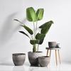 Qiaohao Shiguang Decorative Planters & Vases