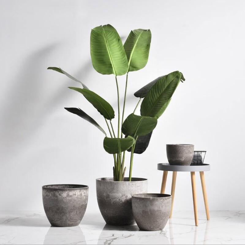 Qiaohao Shiguang Decorative Planters & Vases