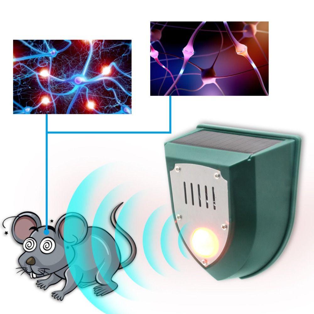Allarme con Sensore di Movimento Solare Resistente alle Intemperie Rilevamento Infrarosso Impermeabile Dispositivo Allontana Cervi Dispositivo di Azionamento con Sensore di Movimento ad Energia Solare