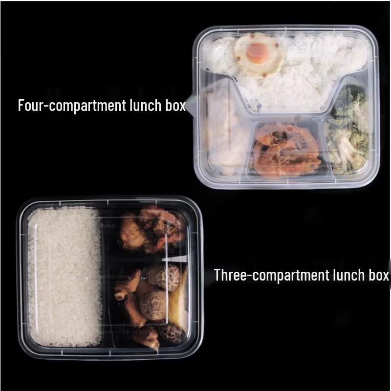 ZB Disposable PP Plastic Takeaway Meal Boxes