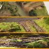 Electrostatic Grass Flocking Tool for Model Terrain and Garden Landscaping