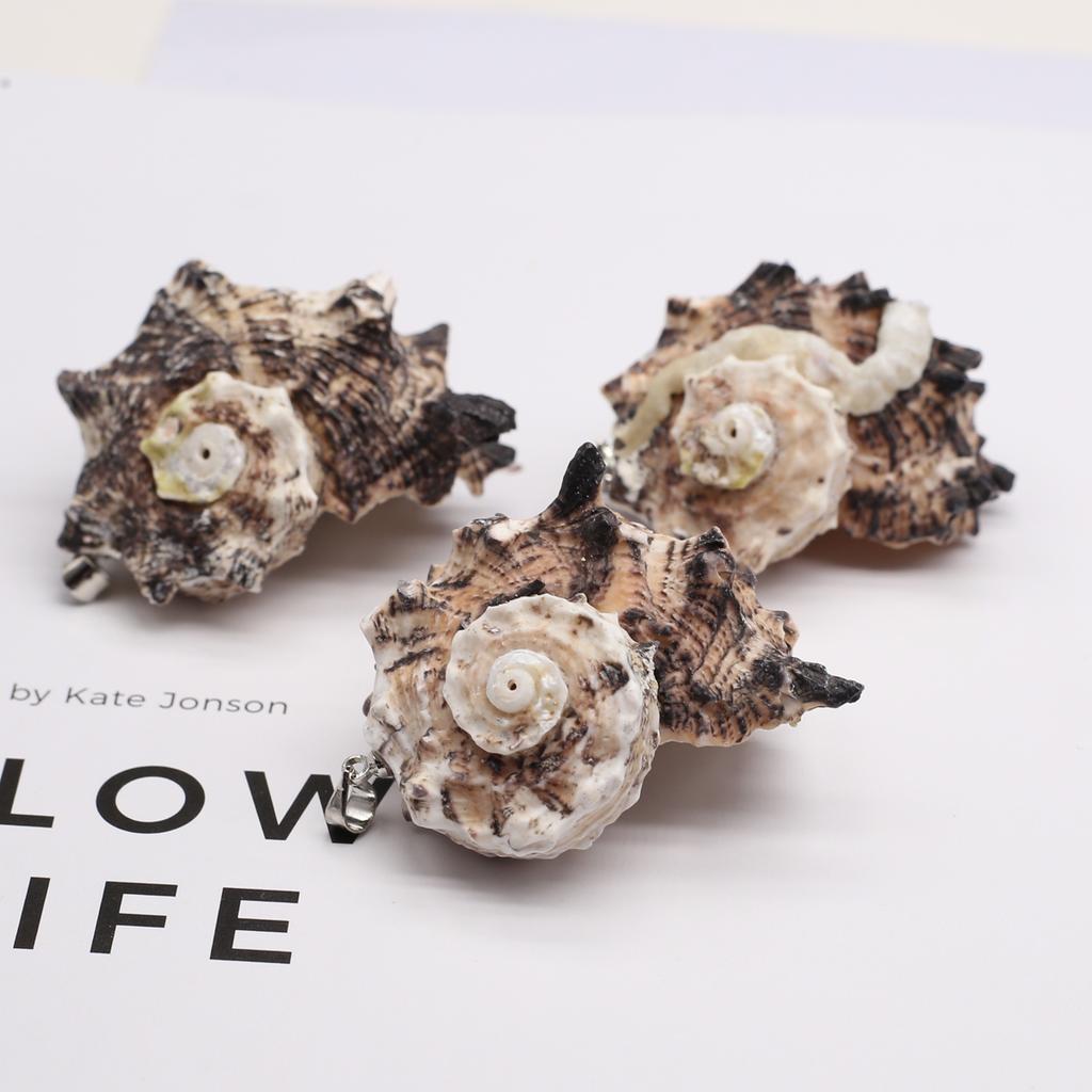 10Pcs Black Conch Pendant Shell Necklace Pendant 20-40mm For Jewelry Making DIY Necklace Bracelet Earrings Accessory