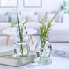 Creative Glass Vase for Flower Arrangements and Home Decor - Ideal for Dried Flowers, Desktop Display, and Hydroponic Plants