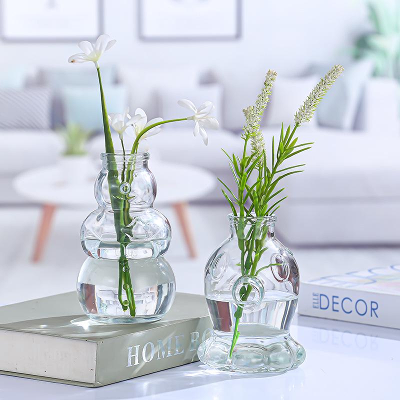 Creative Glass Vase for Flower Arrangements and Home Decor - Ideal for Dried Flowers, Desktop Display, and Hydroponic Plants