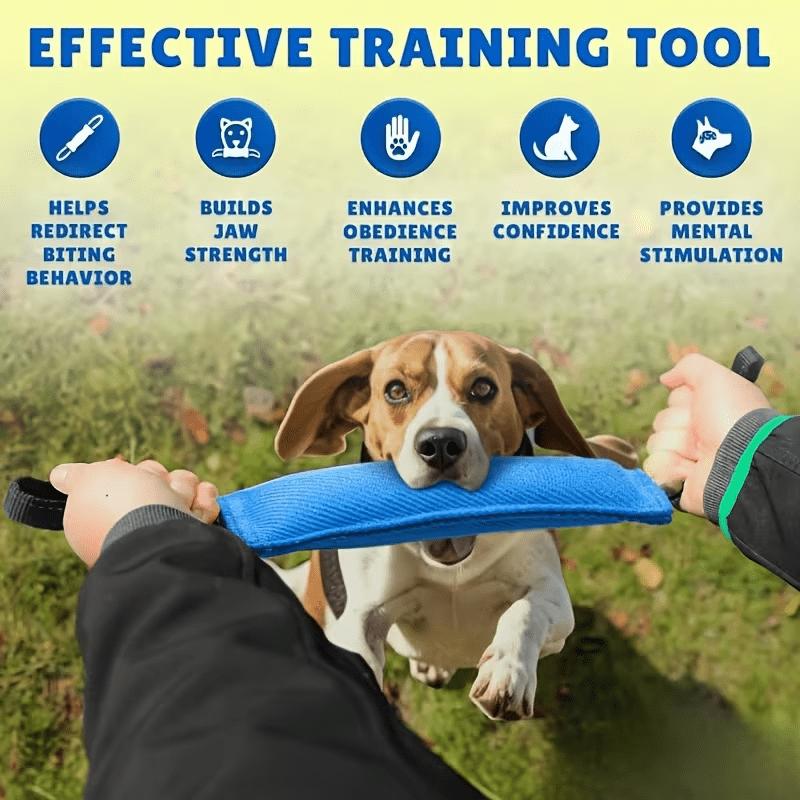 Langlebiges Hund Tau Ziehspielzeug Bissspielzeug Für Kleine Mittlere Hunde Welpentraining Kauen