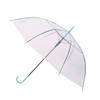 Transparent Automatic Long-Handle White Umbrella - Free Shipping